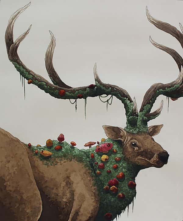 William Black - Illustration of a reindeer with mossy antlers