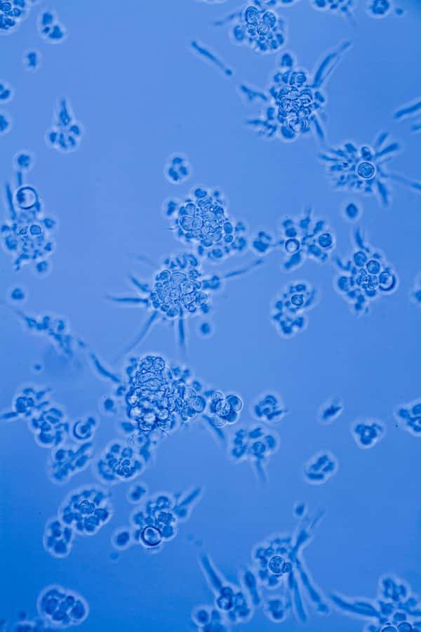 Leo White - Cells under a microscope on blue background