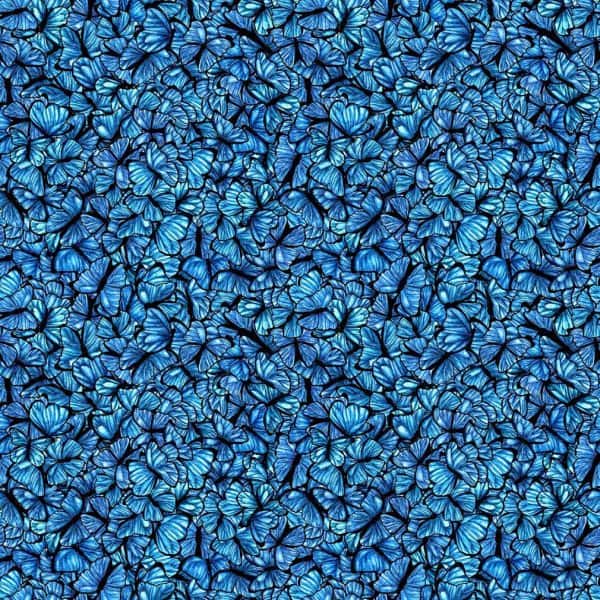 Marina Bijelic - Repeating pattern of blue butterflies