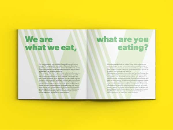 Raquel Jimenez - A double page spread in a book with large green type above, and blocks of small print text below