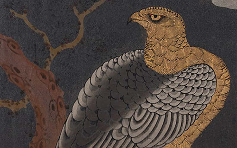 printed work shows thin black lined hawk with outlined feathers and ruff in golden yellow against dark background with simplistic tree to the left