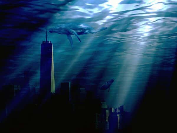 Kyle Kingsman - Image of a whale swimming in an underwater city