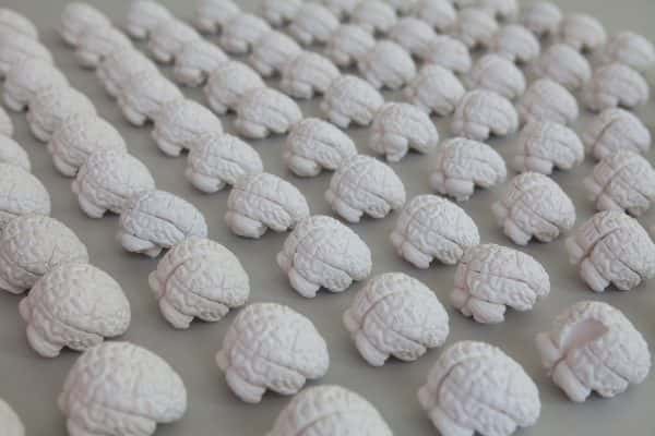  - Dozens of tiny white casts of brains lined up on display in 2017 BA degree show