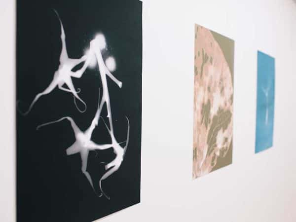 Ed Back, MA Communication Design - Image of three hanging prints by MA Communication student Ed back featuring abstract shapes and natural colours