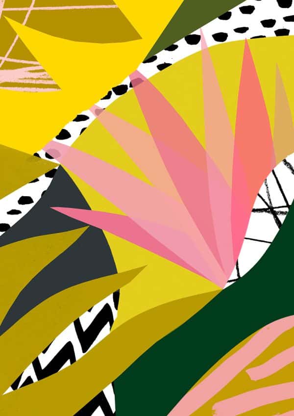 Urn plant - Colourful digital collage showing pink flower by Tom Abbiss Smith