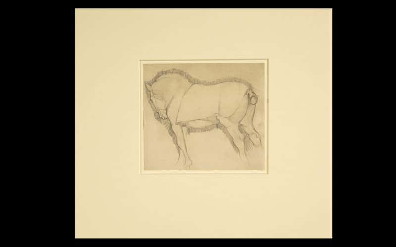 Alfred Munnings drawing restored by East Gallery at showing a drawing of a horse