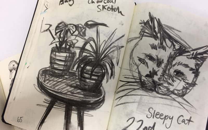 A sketchbook open onto a double page spread of charcoal drawings. On the left page, a table with pot plants, on the right a portrait of a sleeping cat