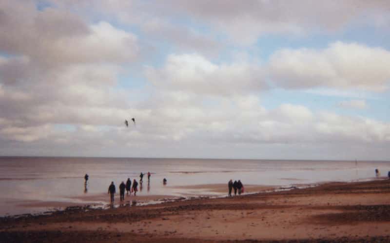 An analogue photo of people gathered in front of the sea on a sandy beach. Someone is flying a kite