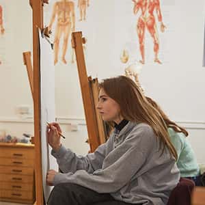 A student with long straight hair draws in pencil at a wooden easel. In the background, large scientific posters show the musculature of the human body.