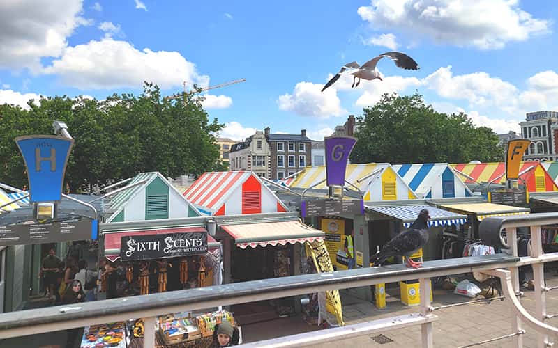 Photo of brightly coloured market stalls with striped, pitched roofs. A seagull flies in front of the camera.